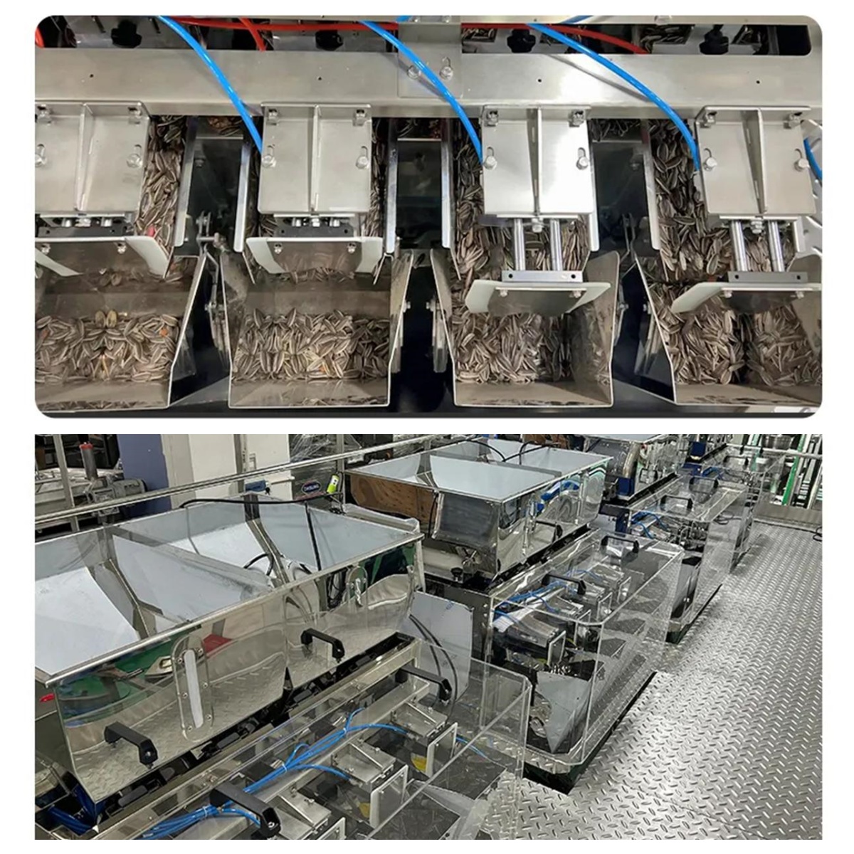 Parrot Food Mixing, Weighing and Packaging System