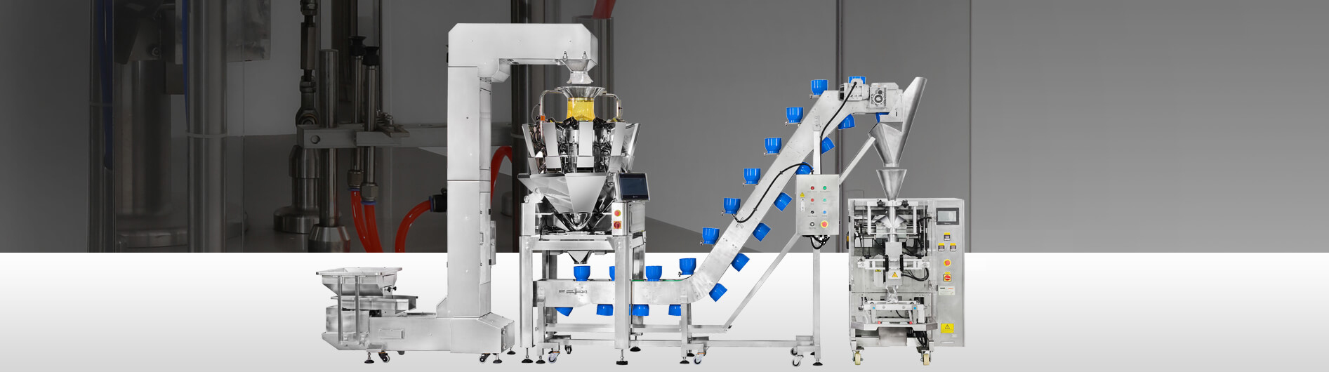 Automatic Weighing Packaging Line