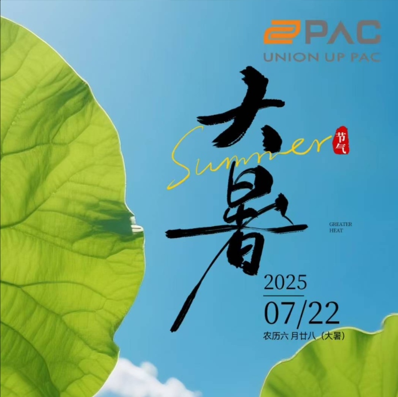 Gran calor, mayor precisión: Cómo una pesadora multicabezal de 20 cabezales preserva los sabores de temporada de China